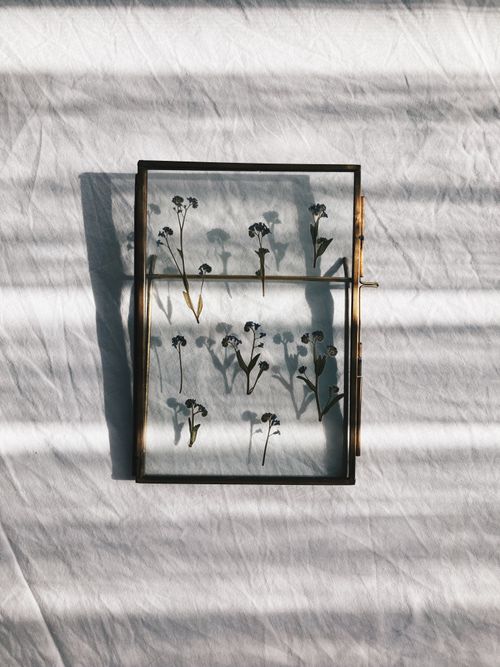 Free Elegant vertical glass panel art showcasing delicate pressed flowers on a white sheet background. Stock Photo