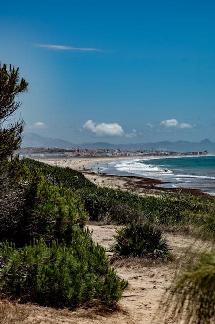 A panoramic view of the Corsican coastline, with myrtle bushes growing in the foreground and the Mediterranean Sea in the background.