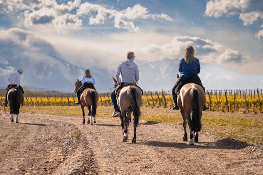 Group enjoying a horseback ride through a scenic vineyard with mountains in the background.