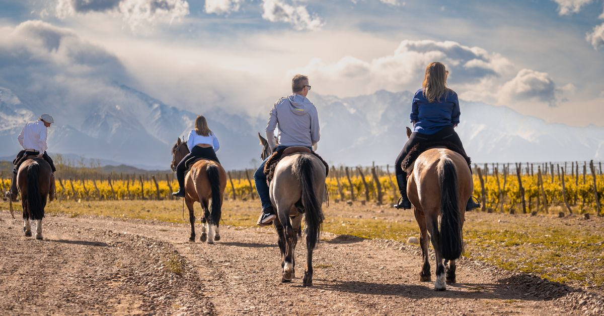 People Riding Horseback around a Vineyard · Free Stock Photo