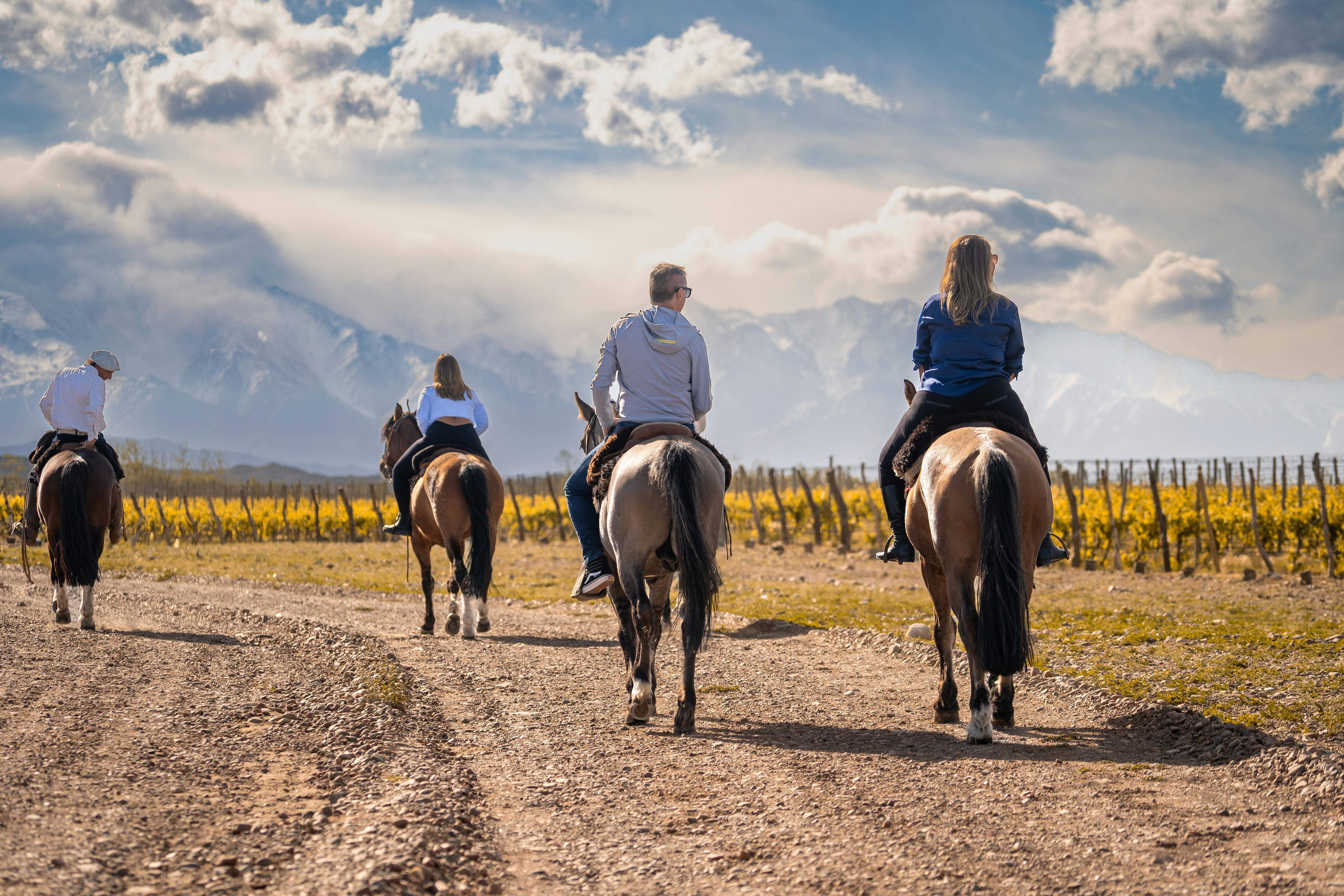 Free People Riding Horseback around a Vineyard Stock Photo