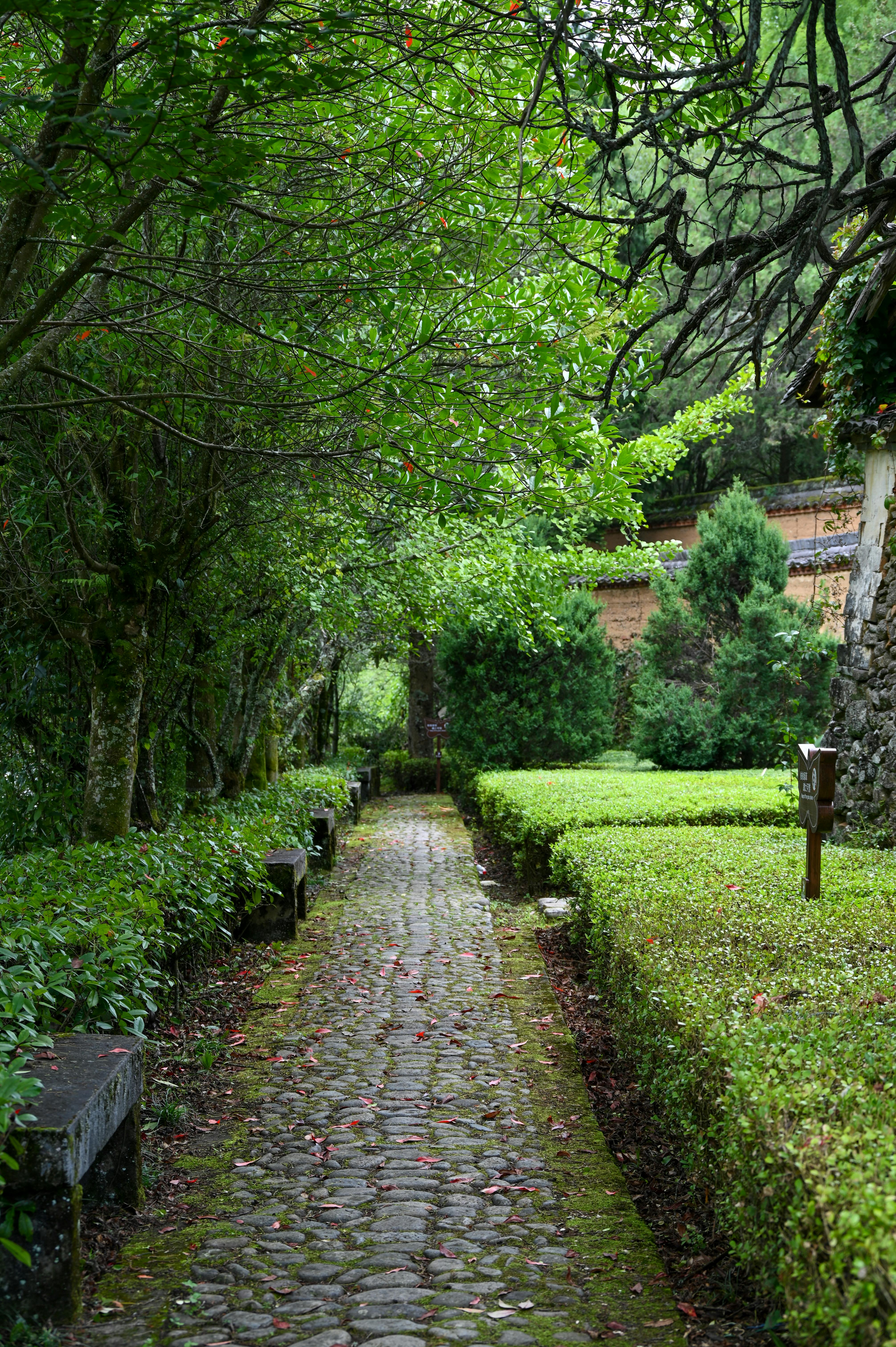 Blessings and Prayers: Enrich Your Friday with Divine Guidance