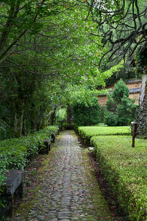 Alley in Park