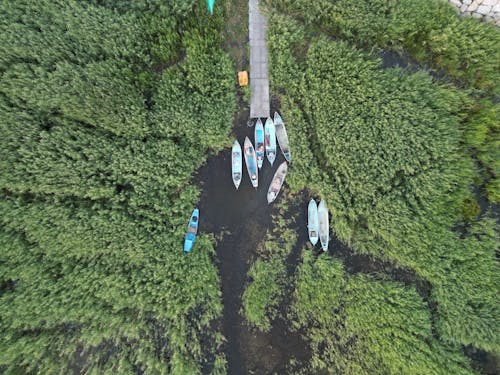 Canoes among Rushes on Lake