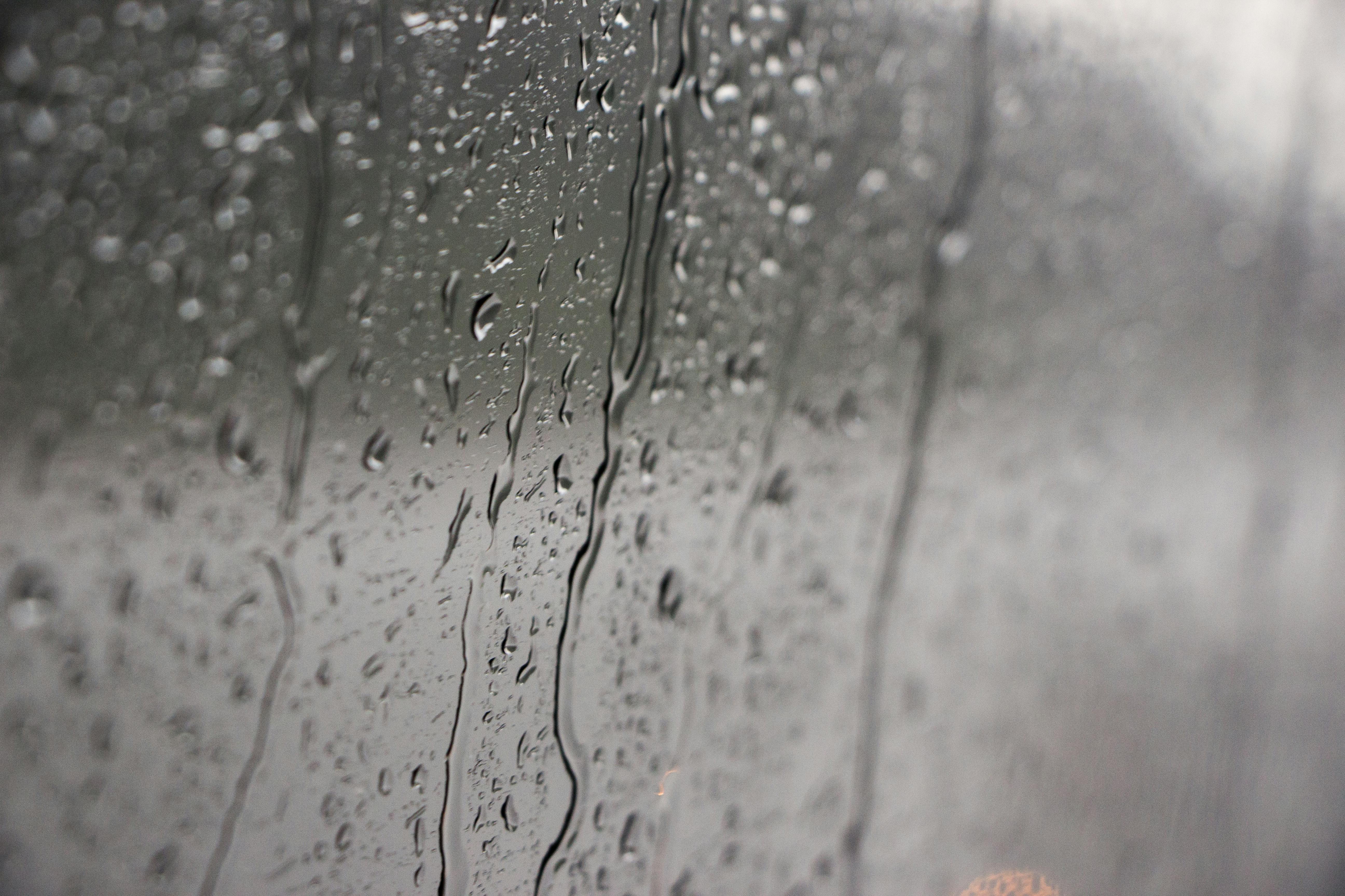 Discussion Questions