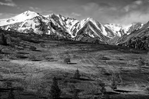 Immagine gratuita di bianco e nero, catena montuosa, innevato