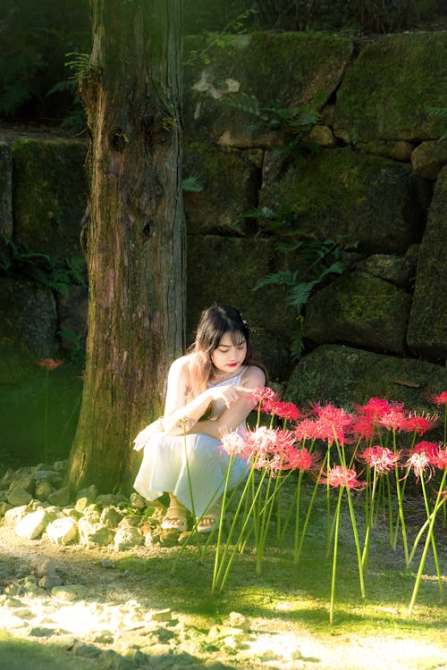 ağaç, Asyalı kadın, Çiçekler içeren Ücretsiz stok fotoğraf