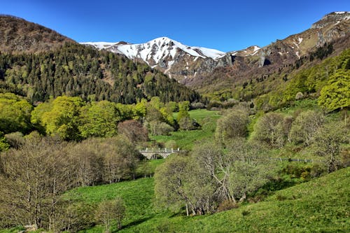 Scenic View of a Green Valley and Snowcapped Mountains under Blue Sky 
