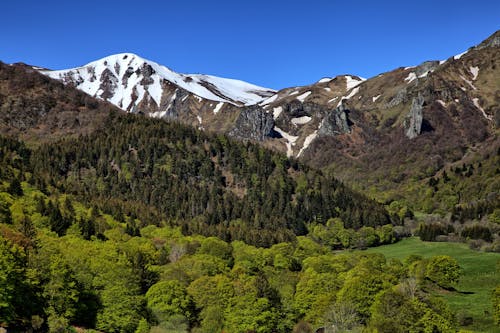 Gratis stockfoto met achtergrond, bergen, bomen