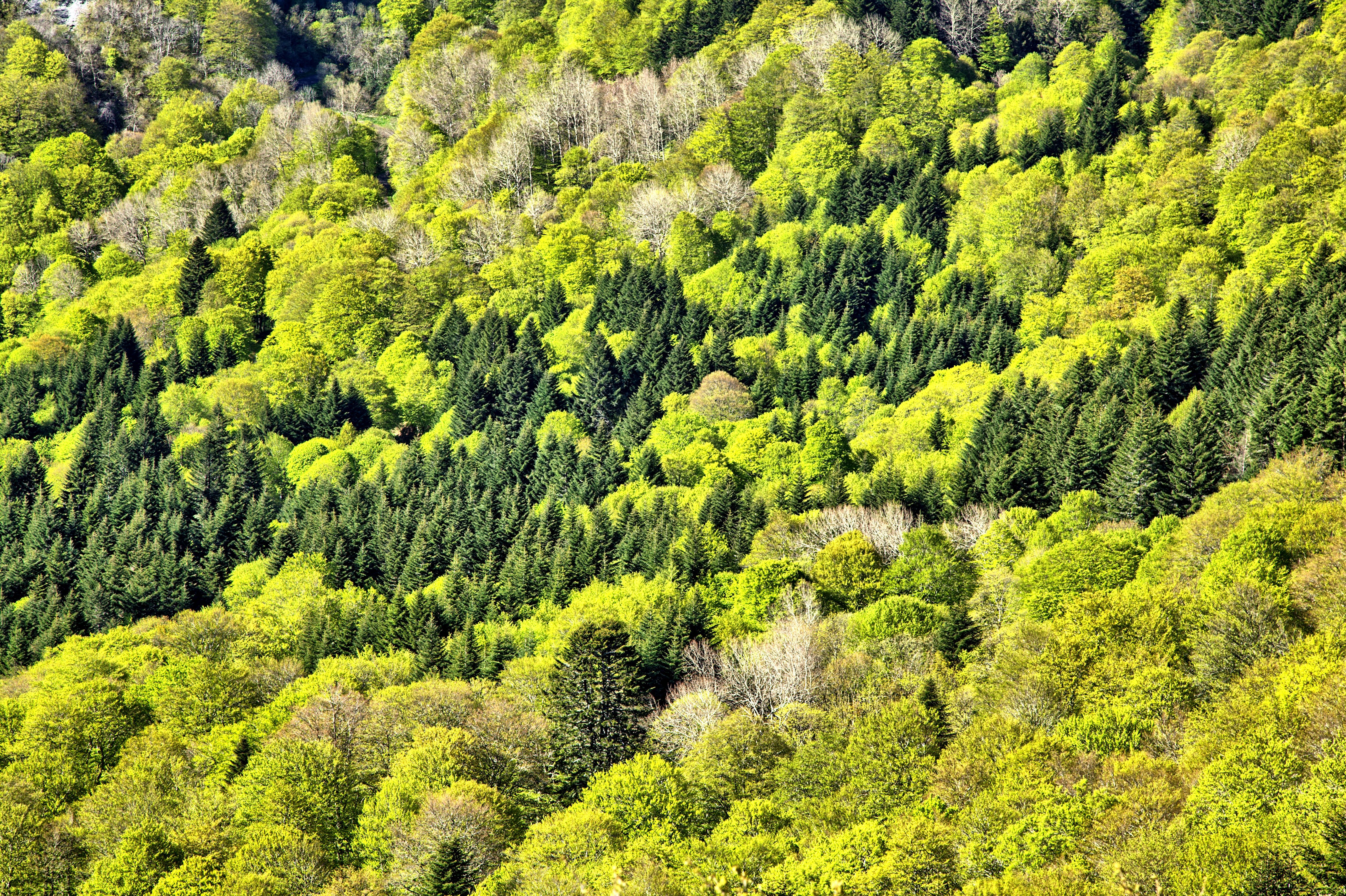 Le Green Marketing, c’est quoi ?
