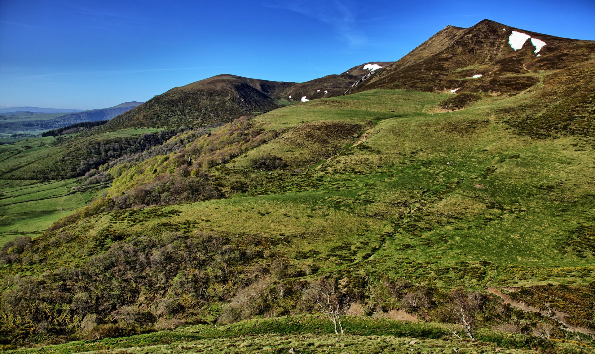 Pentes herbeuses et verdoyantes d'un massif volcanique en Auvergne