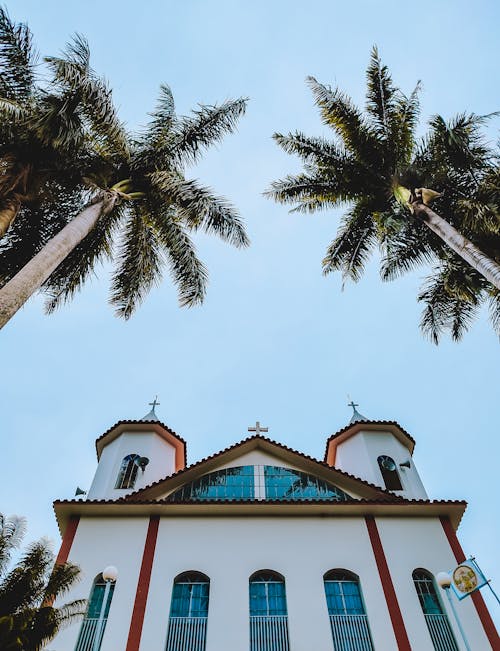 Palm Trees by Wall of Church