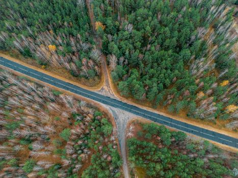 Drone shot of a forest road intersection in Shilovichi, Belarus during autumn season.
