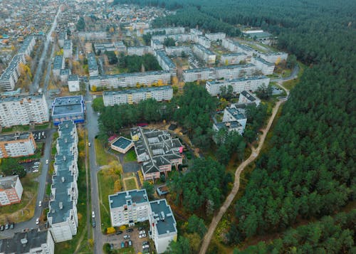 Gratis stockfoto met architectuur, bomen, Bos