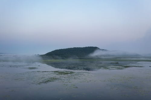 Základová fotografie zdarma na téma jezero, kopec, les