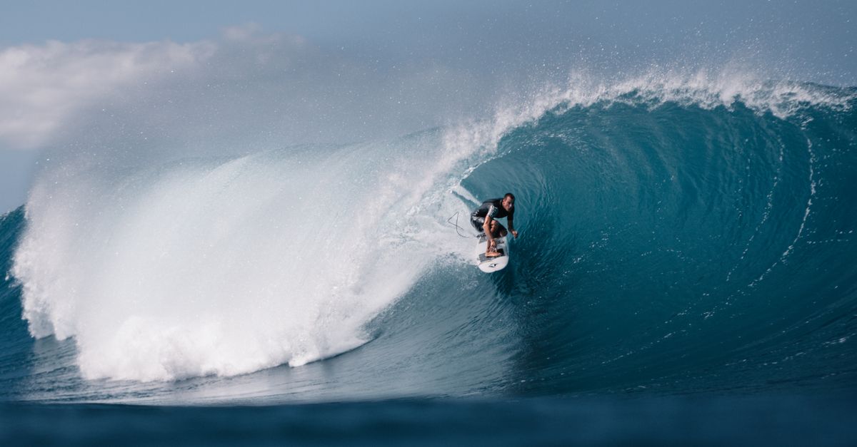 Surfer riding a wave in tropical waters