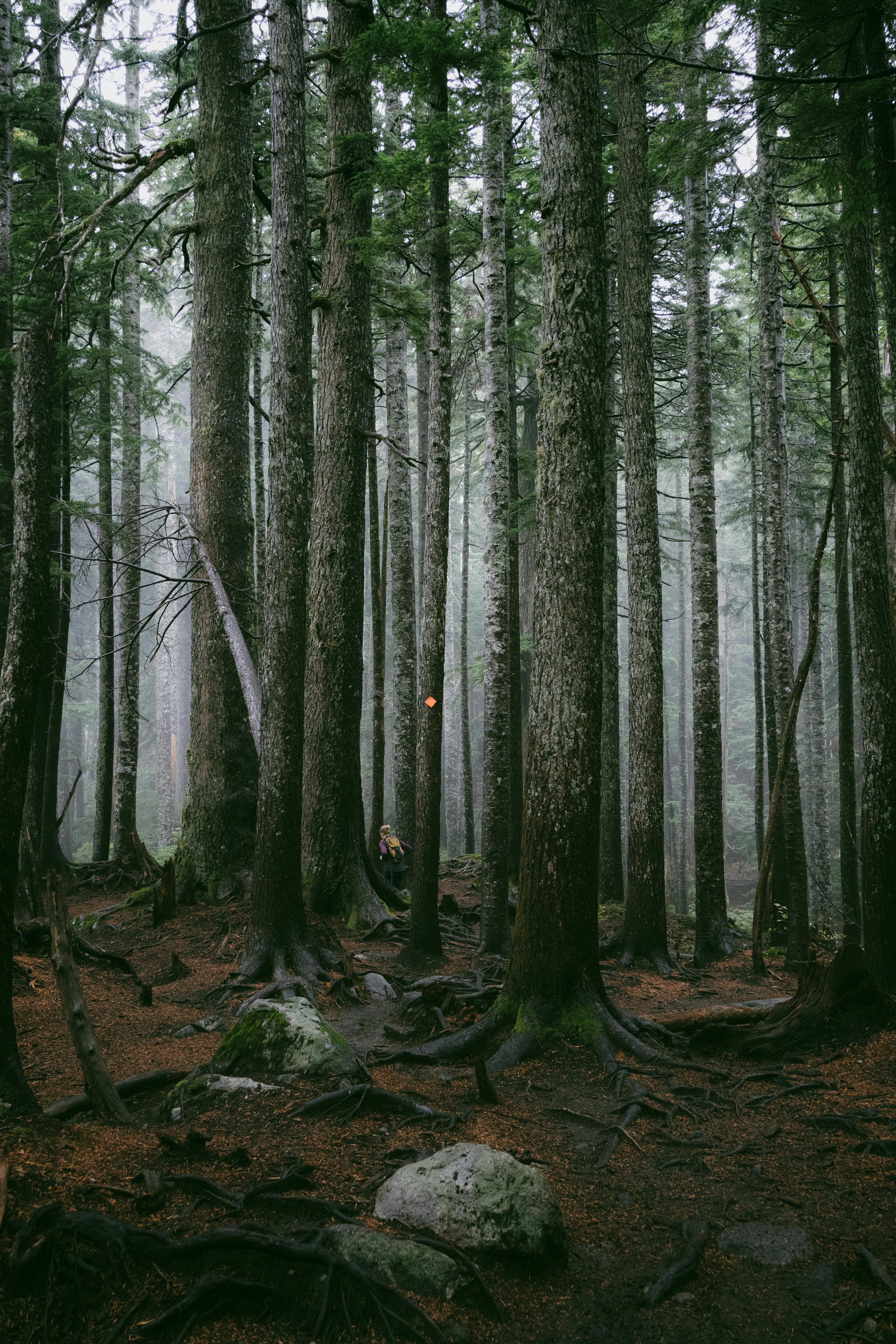 How Do I Choose The Right Type Of Roofing Material? How Do I Choose The Right Type Of Roofing Material?