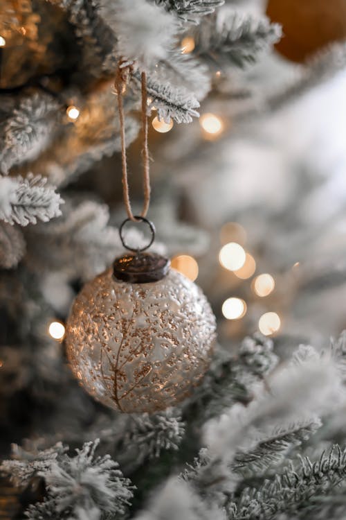 Ornament on Christmas Tree