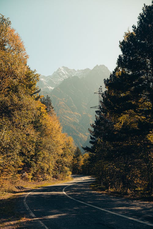Road Passing through an Autumn Landscape 