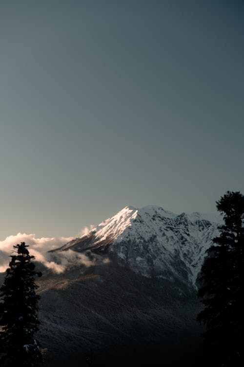 Snow in Mountains 