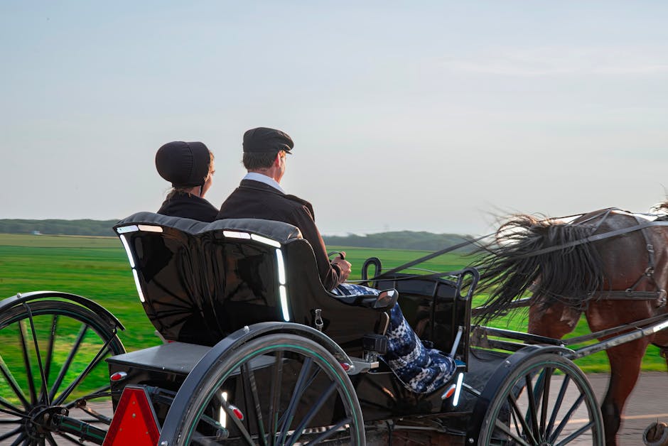Romantic Carriage Ride Through Picturesque Landscapes