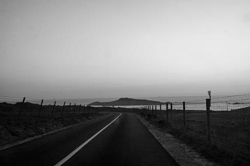 Základová fotografie zdarma na téma černobílý, ilha do pessegueiro, ostrov
