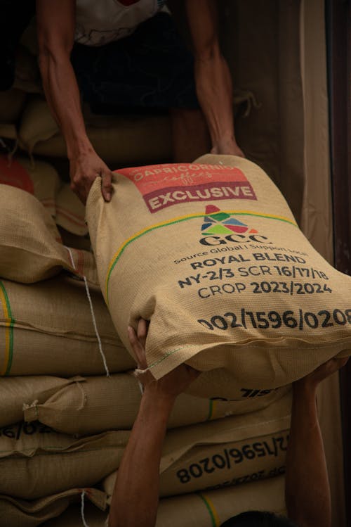 Men Loading Sacks with Coffee Beans