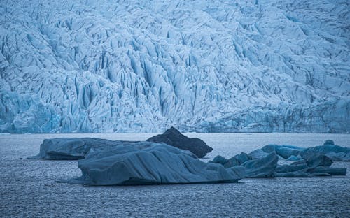 Icebergs on Seashore in Iceland