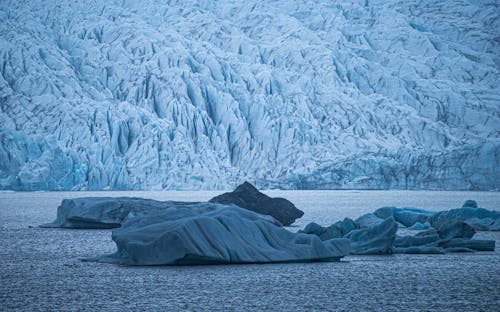 Gratis lagerfoto af forkølelse, frossen, frost