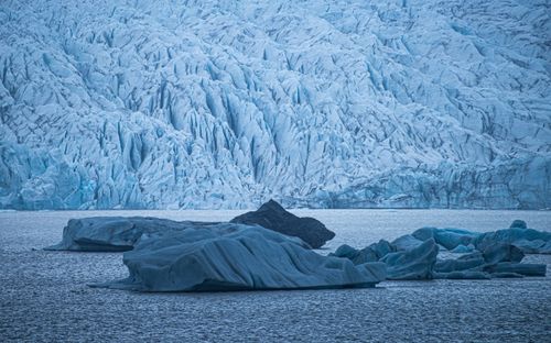 Free Stunning view of icebergs and glacier, capturing the serene beauty of icy landscapes. Stock Photo