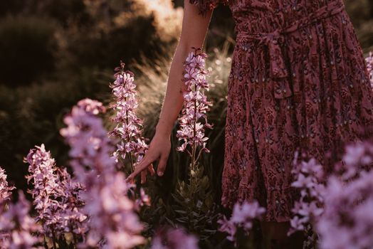 Woman in a Floral Sundress Among Pink Flowers