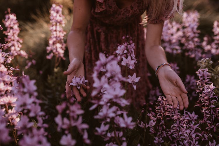 Woman In Dress Among Flowers