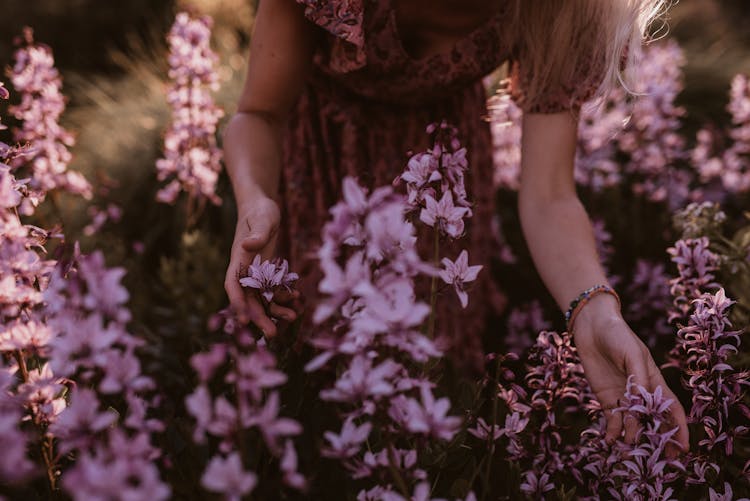 Woman Touching Flowers In Garden