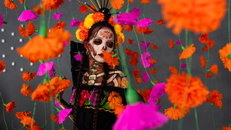 A colorful Day of the Dead celebration with a woman in traditional makeup amidst paper flowers.