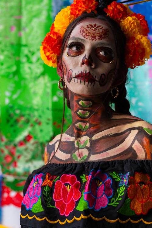 Free Vibrant Catrina portrait with floral headdress and traditional dress. Stock Photo