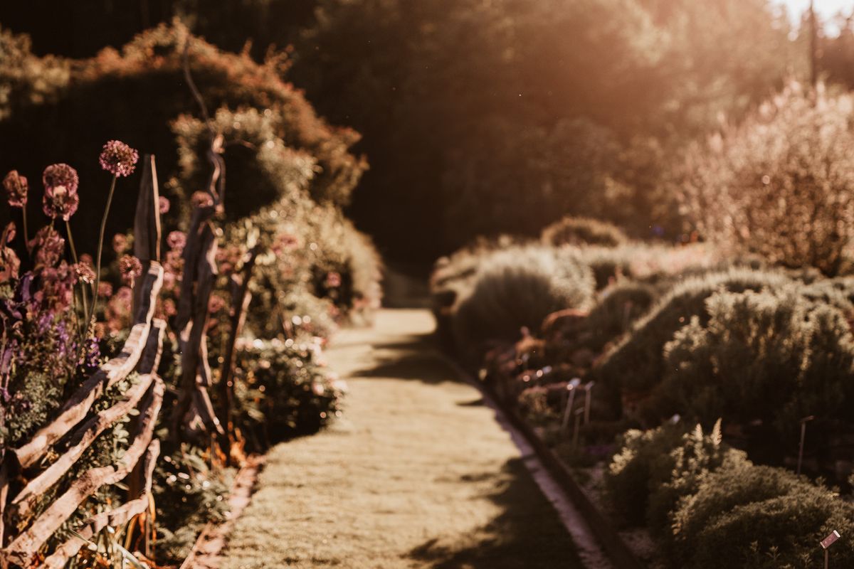 Chemin fleuri dans un jardin romantique