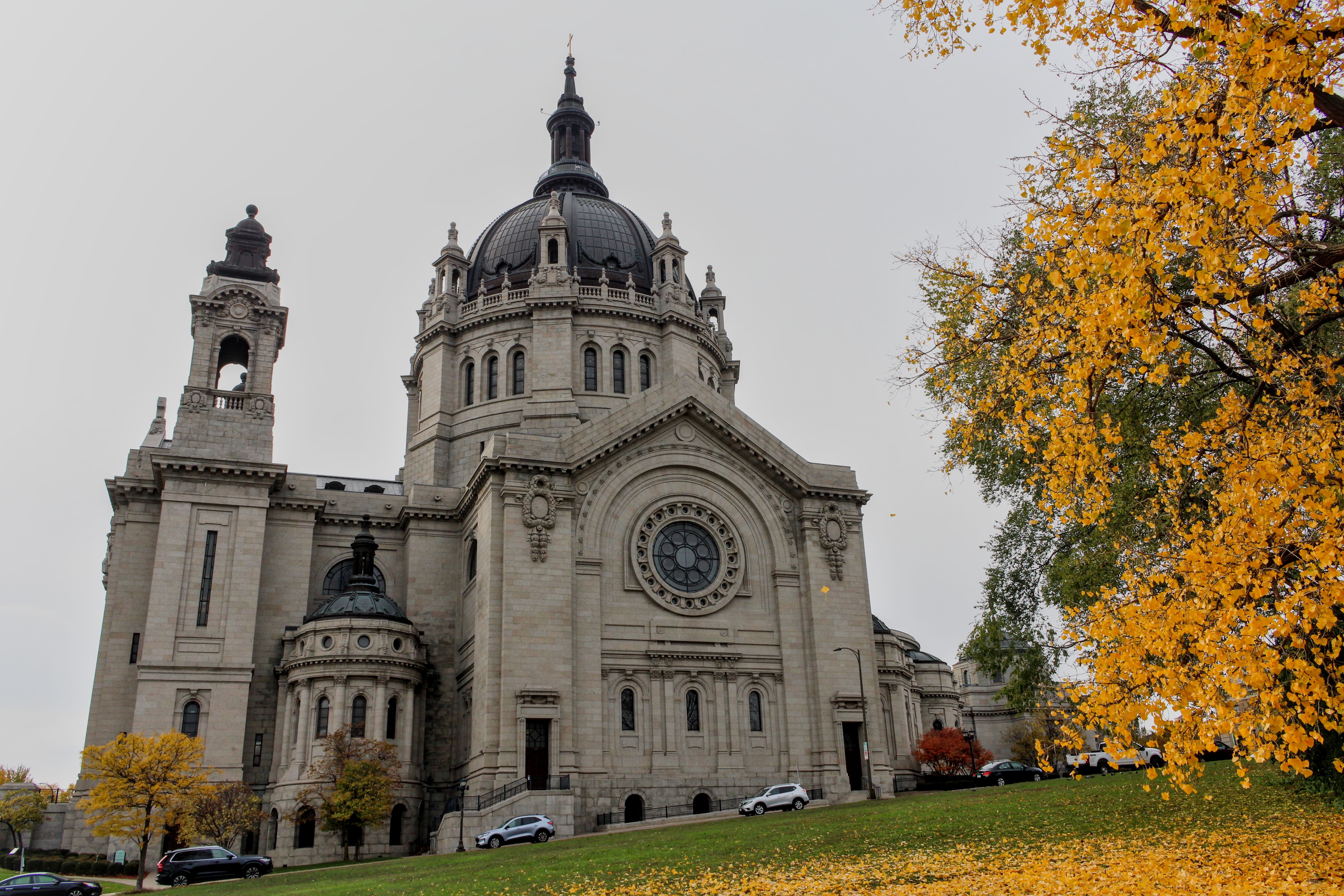 Top Saint Paul, MN Pet Product Giveaways With No Purchase Necessary: Safe Entry Guide