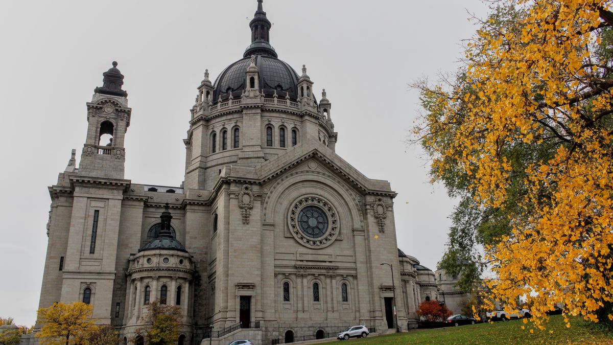 Top Saint Paul, MN Pet Product Giveaways With No Purchase Necessary: Safe Entry Guide