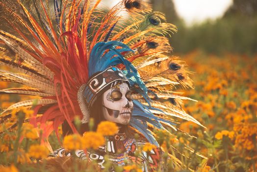 A woman in a colorful costume in a field of flowers