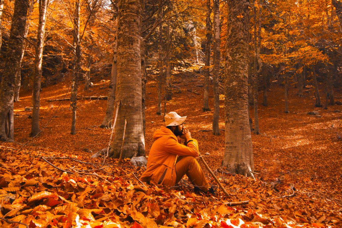 Man Sitting in Autumn Leaves in a Forest · Free Stock Photo