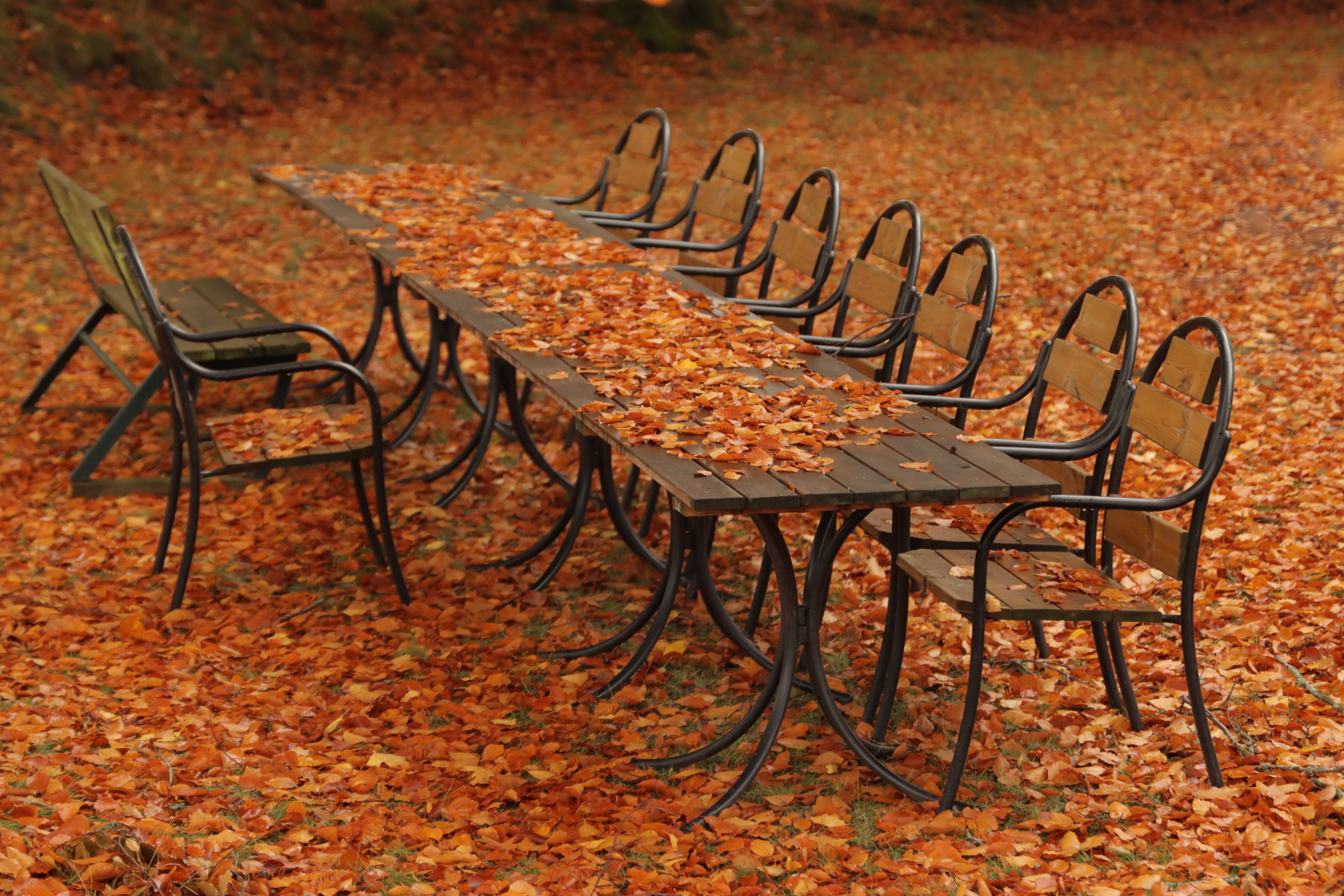 Autumn Setting Photos, Download The BEST Free Autumn Setting Stock ...