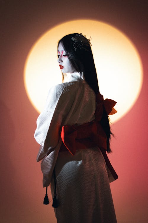 Geisha in Spotlight