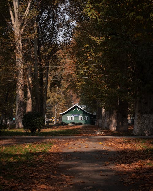 Free Autumn Trees and Village House behind Stock Photo