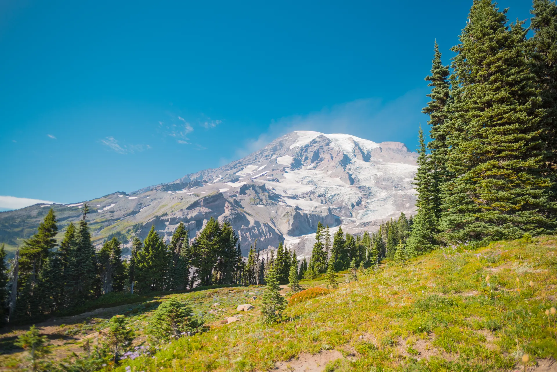 View of Mount Rainier with lush green forest in summer, Seattle, WA. View of Mount Rainier with lush green forest in summer, Seattle, WA.