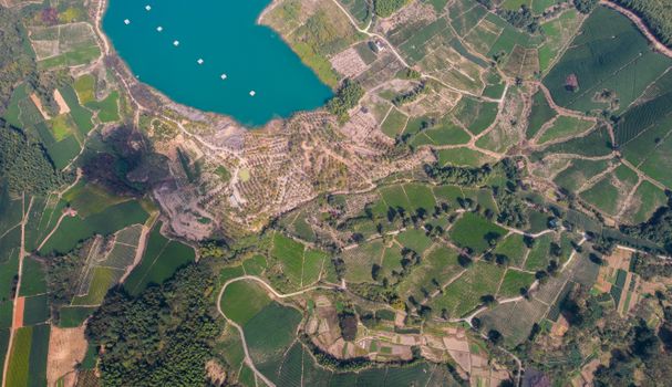 Stunning aerial view of lush farmland surrounding a tranquil lake.