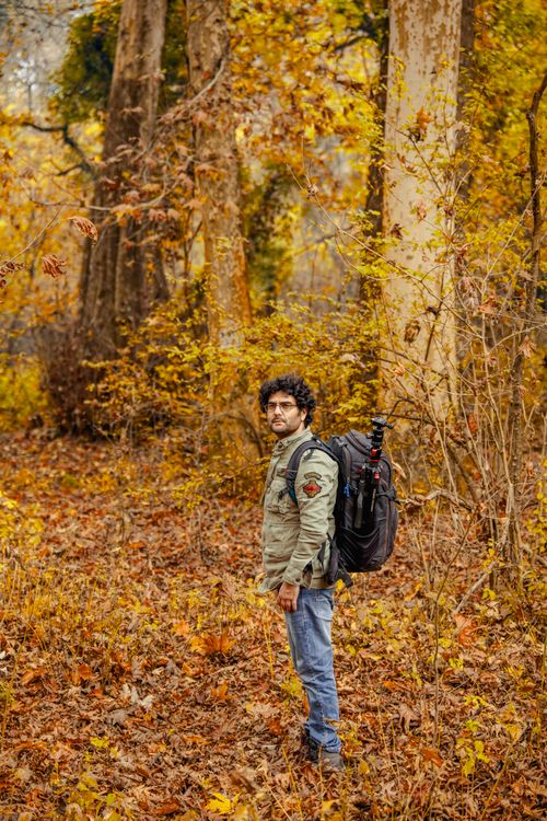 Free Man wearing a green jacket and backpack, hikes through a vibrant autumn forest. Stock Photo