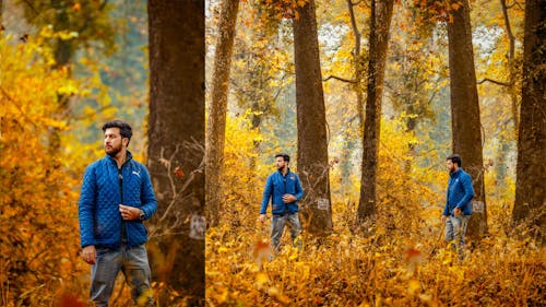 Základová fotografie zdarma na téma atmosfera de outono, klikne na imad, podzimní barvy