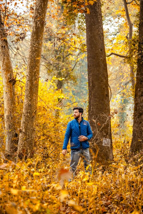 Free Man in a blue jacket exploring a vibrant autumn forest with golden foliage. Stock Photo