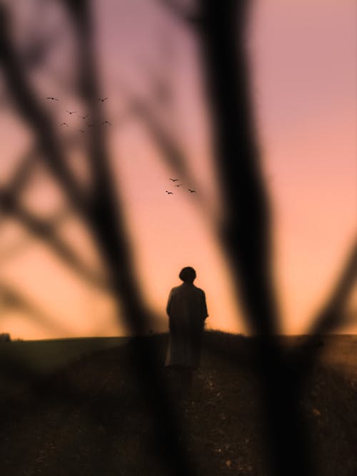 Person Standing behind Branches at Dusk