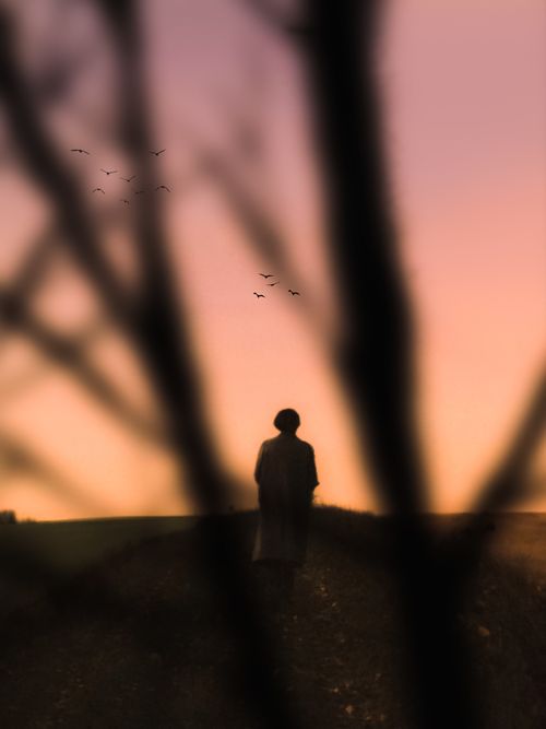 Free A solitary figure stands at dusk with birds flying amidst silhouetted branches, evoking a serene rural scene. Stock Photo